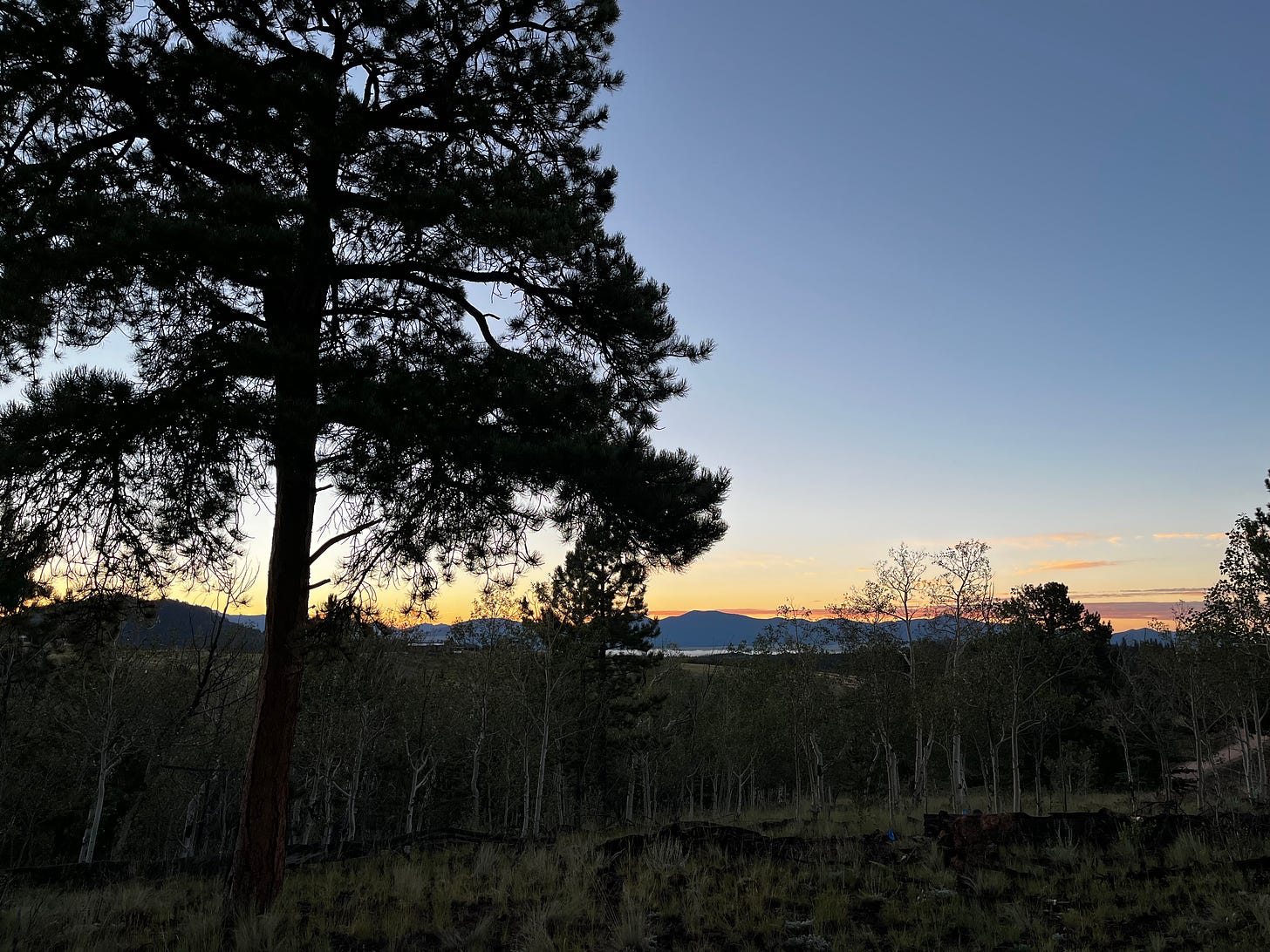 photo of a sunrise with a large evergreen tree in the foreground, mountains in the background, and a thin line of clouds between them