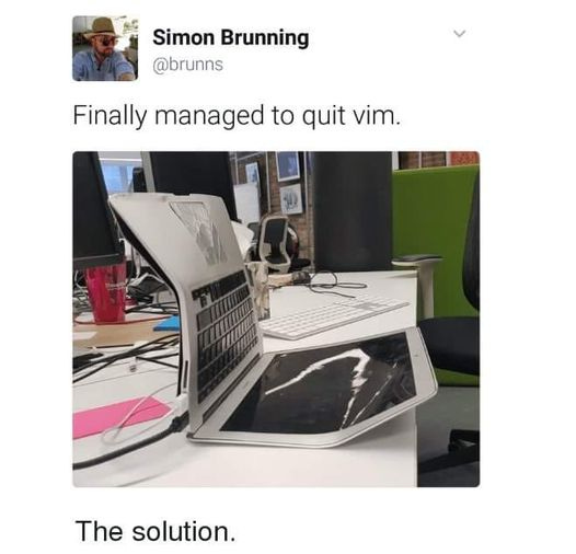 May be an image of 1 person and text that says 'Simon Brunning @brunns Finally managed to quit vim. The solution.'