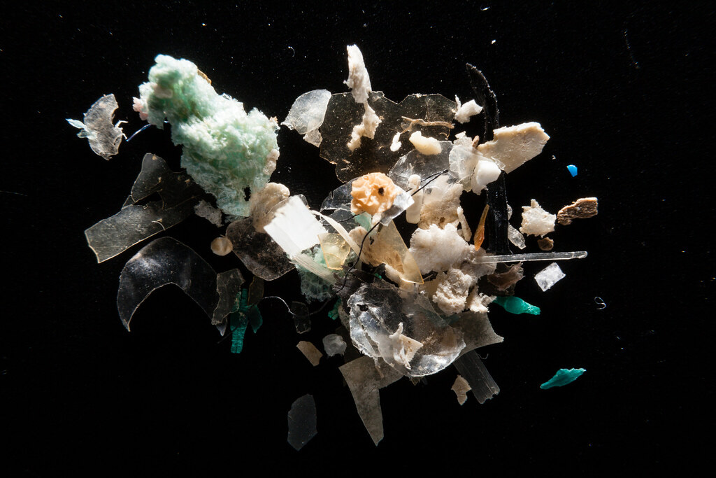 Microplastics in the Chesapeake Bay Watershed | Microplastic… | Flickr