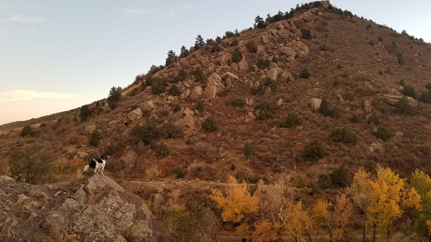 A dog stands at the ledge, surveying the landscape. The sun sets over another rocky mountain across from us. Yellow-gold trees poke up toward the ledge we're watching from.