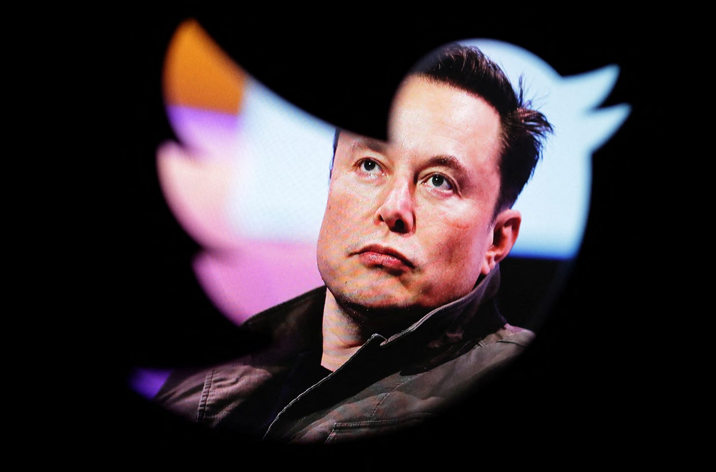 Elon Musk manages free speech versus 'hellscape' at Twitter | Reuters