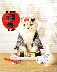 Amazon.com: Sushi Cat Wall Decor Japanese Cute Funny Kitten Art Print  Poster (16x20): Cat Japan Poster: Posters & Prints