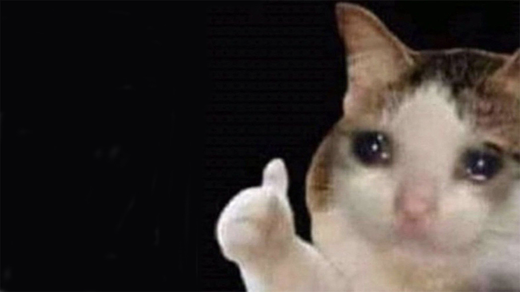Thumbs Up Crying Cat | Know Your Meme