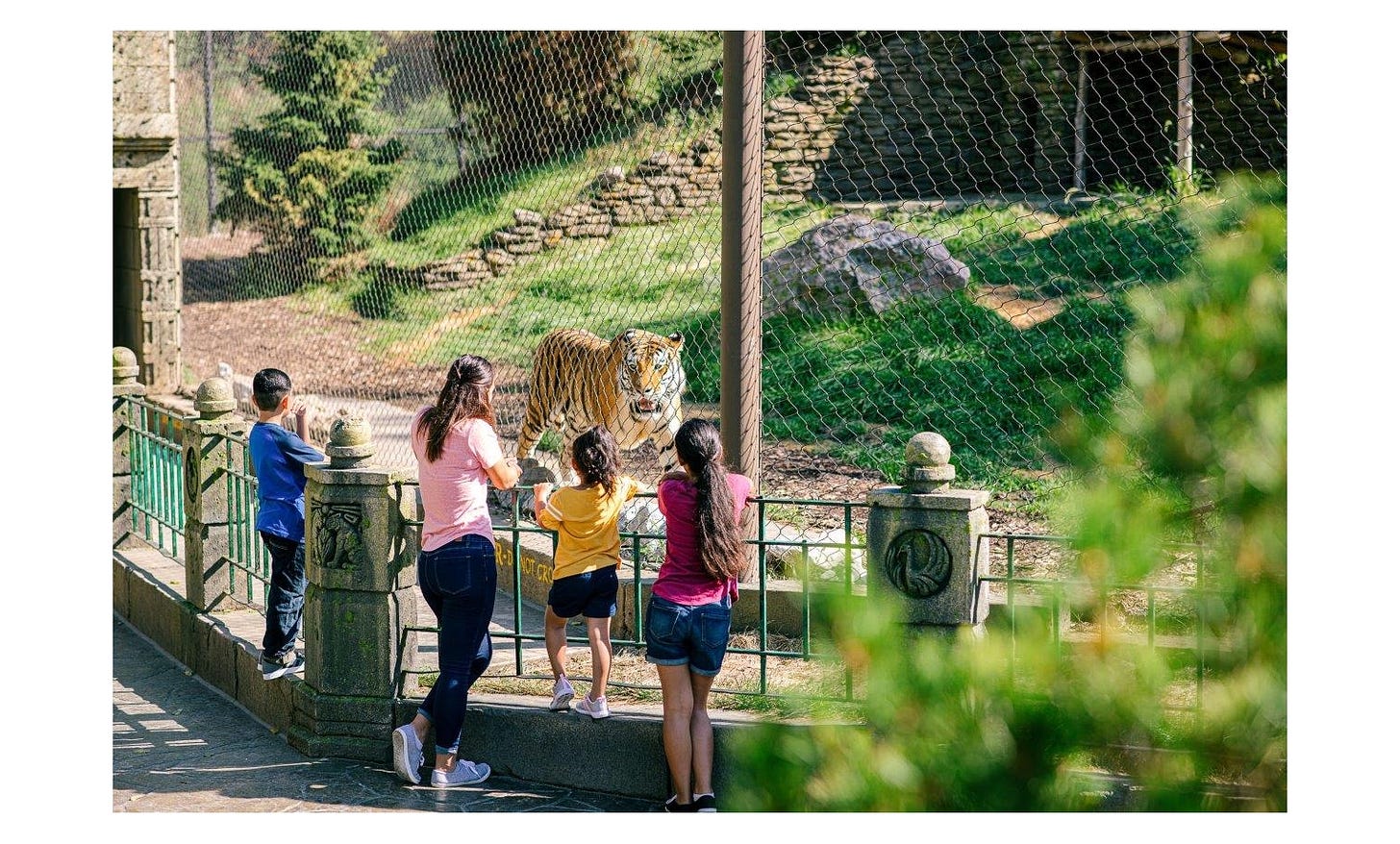 Asian Highlands at Omaha's Henry Doorly Zoo and Aquarium and the Wildlife  Safari Park Both Take First Place Spots in 2021 USA TODAY 10Best Readers'  Choice Awards | Visit Omaha