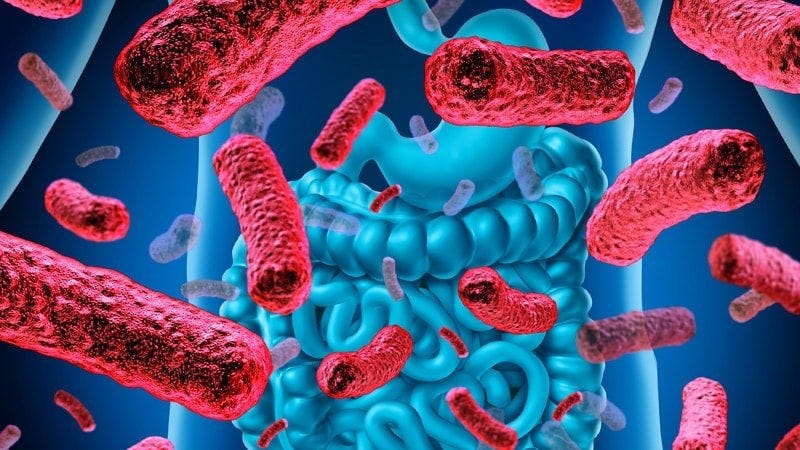 'Intriguing Changes' in Gut Bacteria After MS Treatment