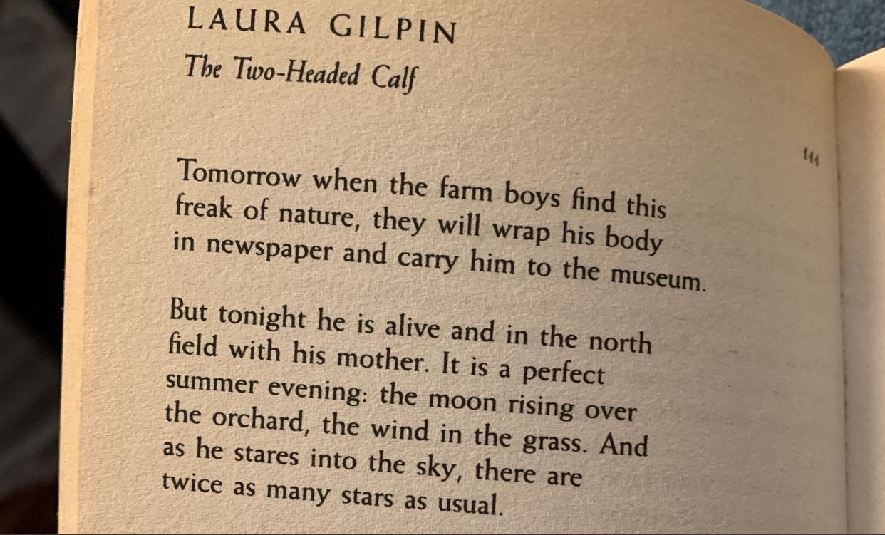 Laura Gilpin // Two-Headed Calf | Pretty words, Words, Poems