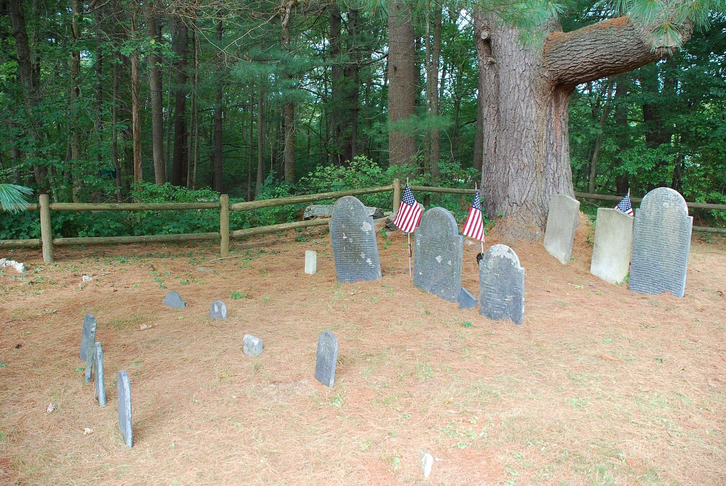 slate tombstones and large pine tree with lateral branch enclosed by post and rail fence