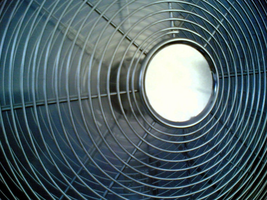 Project 365 #182: 010709 My Biggest Fan | In the middle of w… | Flickr