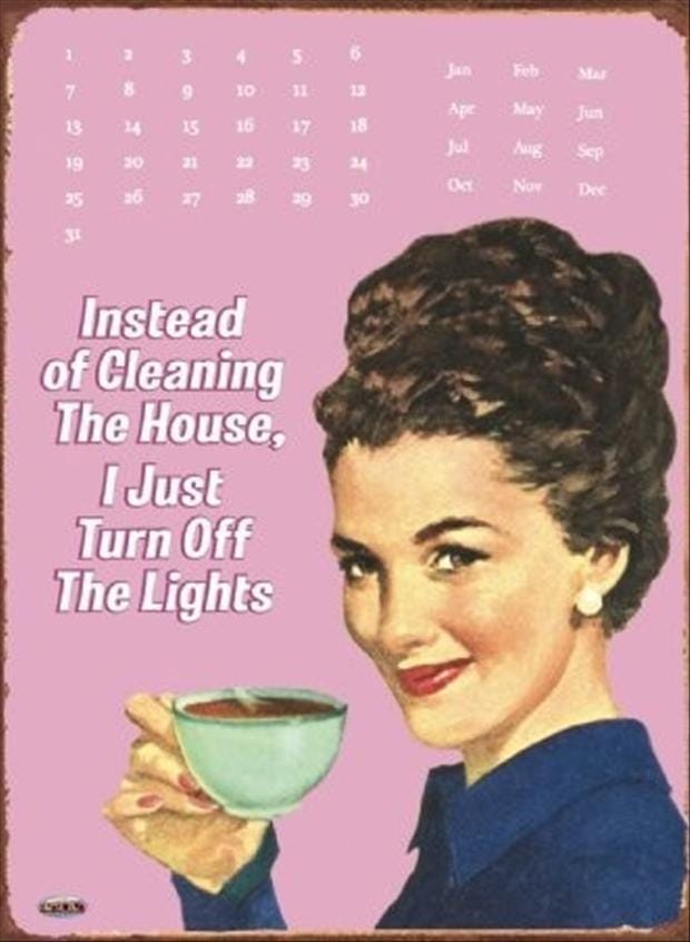 10 Cleaning Memes That Prove You Aren't Alone - The Maids