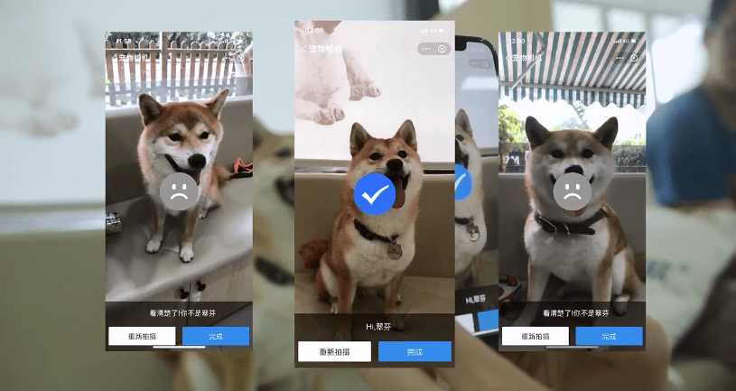 支付宝开放宠物鼻纹识别技术狗子和喵星人也能“刷脸”投保了_保险