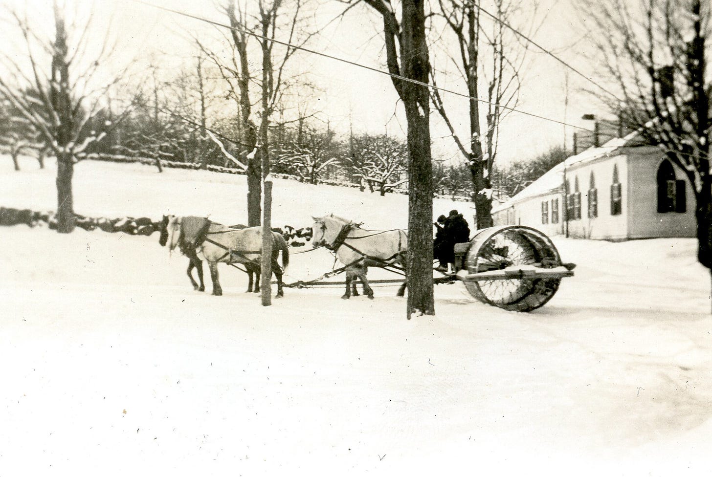 Town Snow Roller