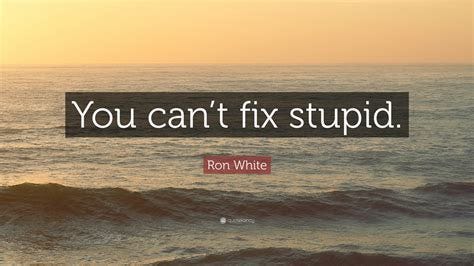 Image result for Can't Fix Stupid Quotes