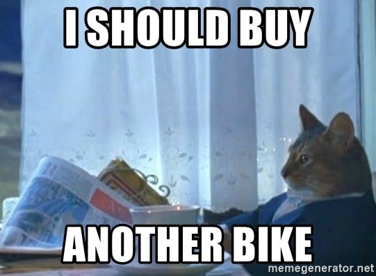I should buy another bike - i should buy cat | Meme Generator