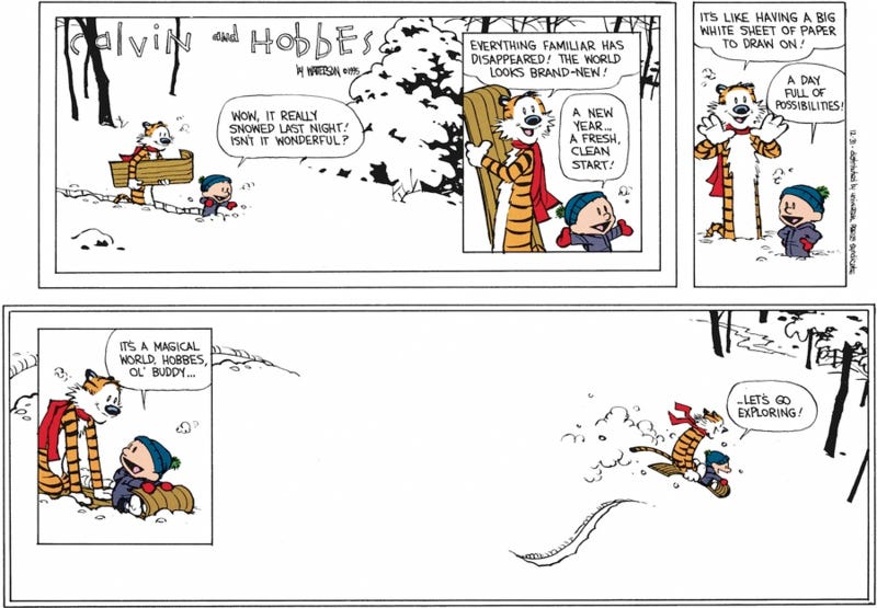 Image result for calvin and hobbes december 31 1995