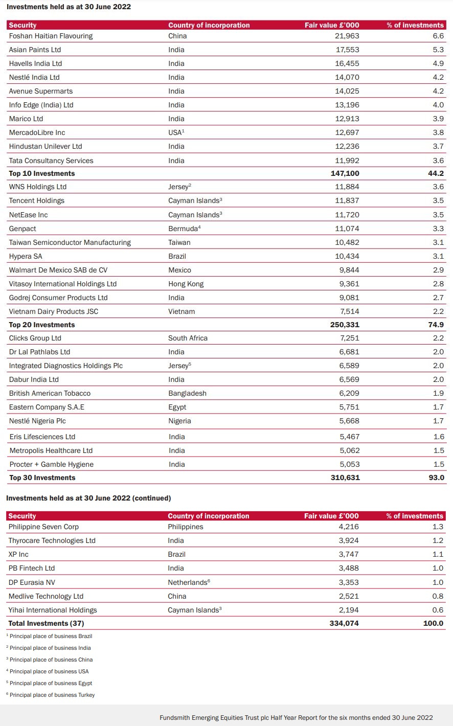 Fundsmith Emerging Equities Trust plc Portfolio