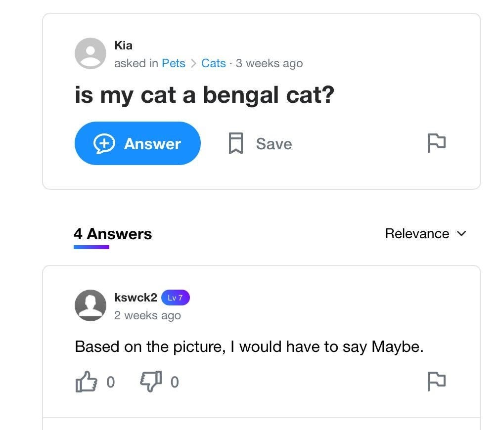 Screengrab of Yahoo user Kia asking, “Is my cat a bengal cat?” There is no picture attached. The most relevant answer is from user kswck2: “Based on the picture, I would have to say Maybe.”
