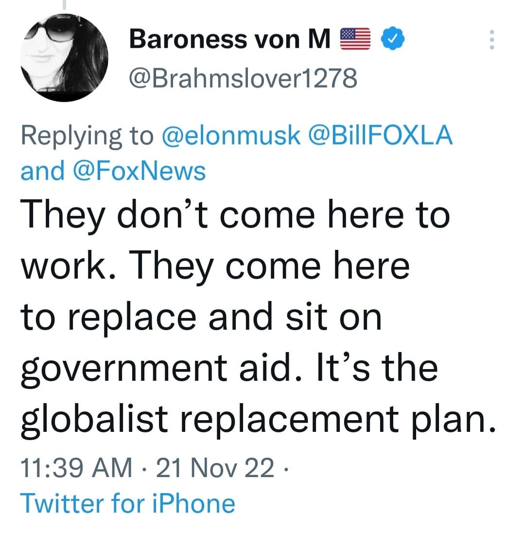 May be a Twitter screenshot of text that says 'Baroness von M @Brahmslover1278 Replying to @elonmusk @BillFOXLA and @FoxNews They don't come here to work. They come here to replace and sit on government aid. It's the globalist replacement plan. 11:39 AM ·21 21 Nov 22. Twitter for iPhone'