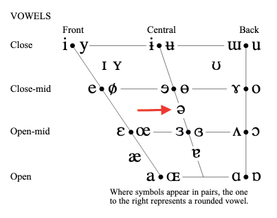 Lo schema che riassume l'alfabeto fonetico internazionale con lo schwa al centro