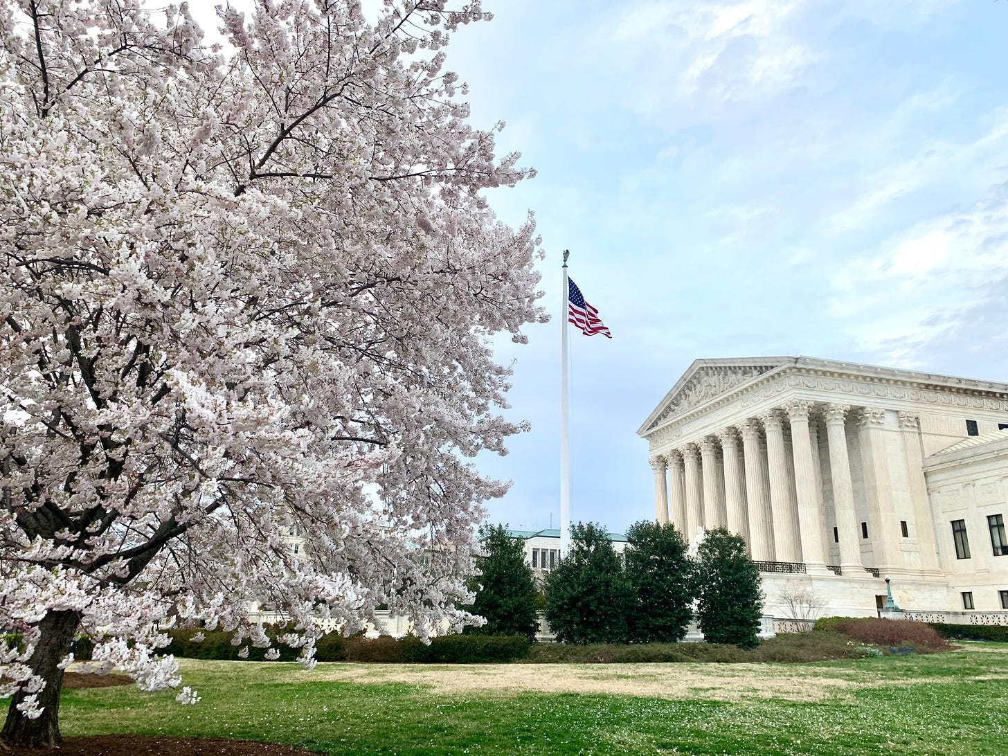 Picture of Supreme Court of the USA on the right, American flag flying in the middle, with a classic cherry blossom tree on the left.