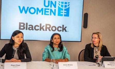 Campaigners call on UN Women to pull out of BlackRock partnership | Women's  rights and gender equality | The Guardian