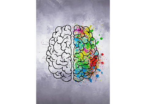 Brain, Colors, Right Hemisphere