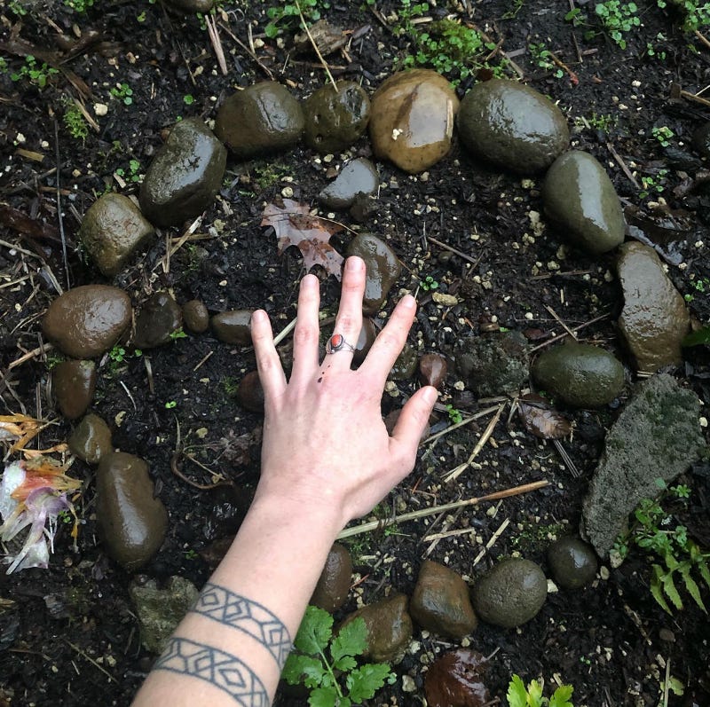 The author’s hand in a circle of stones on wet earth.