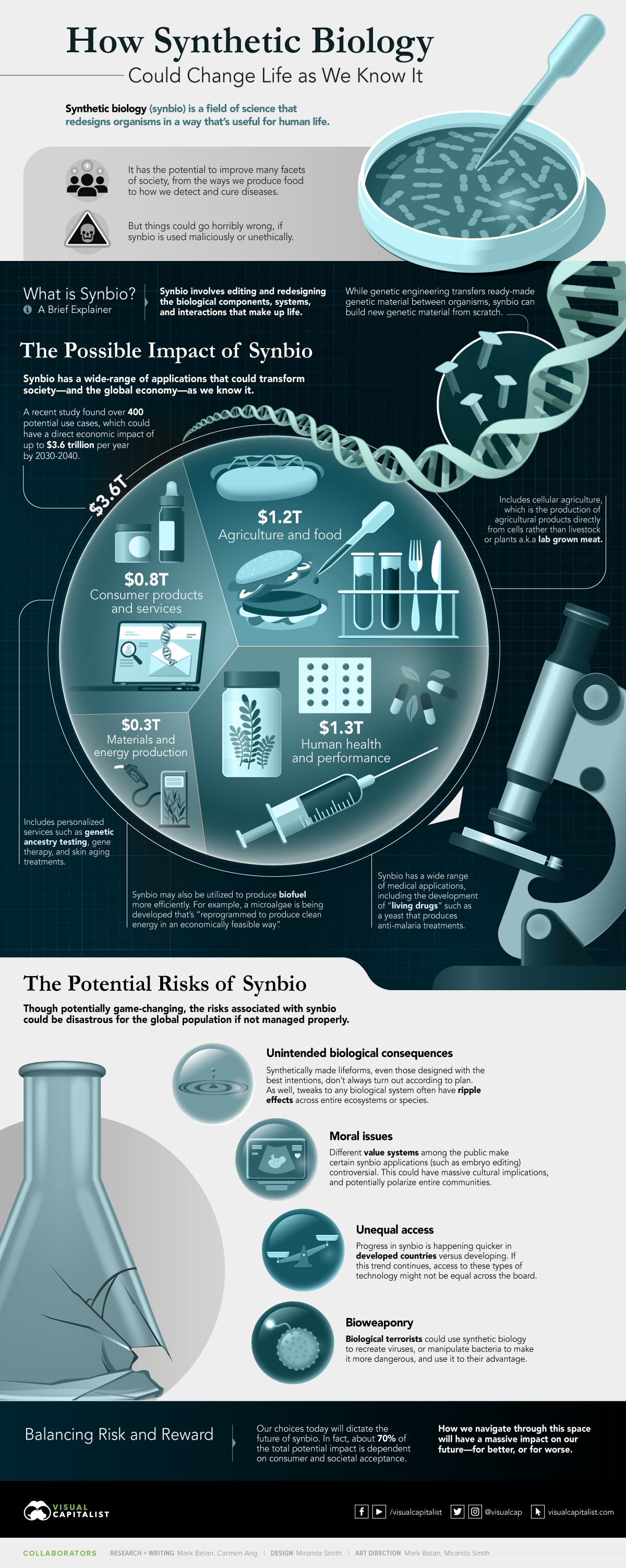 a graphic outlining the potential opportunities and risks of synthetic biology