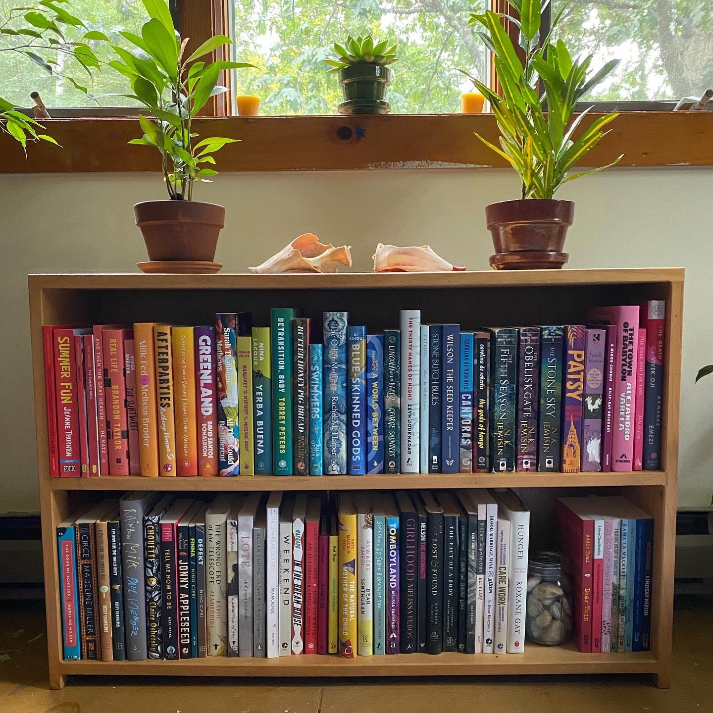  A low wooden bookshelf under a window full of books arranged in rainbow order. Several plants sit on top.
