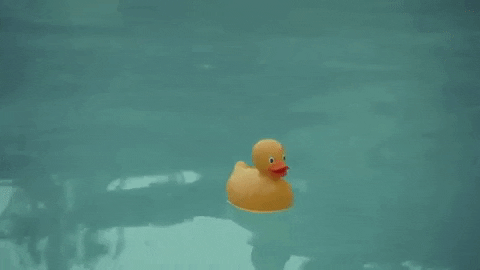 gif image of a rubber ducky floating in a pool and "the end" scrolls up