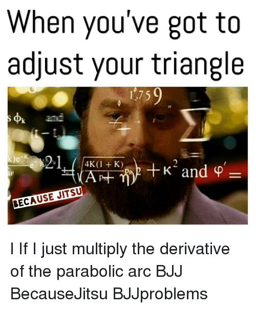 When You've Got to Adjust Your Triangle 1775 4K1 K K and BECAUSE JITSU L if  I Just Multiply the Derivative of the Parabolic Arc BJJ BecauseJitsu  BJJproblems | Meme on ME.ME