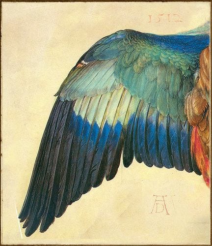 A detailed painting of a birds wing, showing the blues, creams, and oranges of its feathers in vivid detail.
