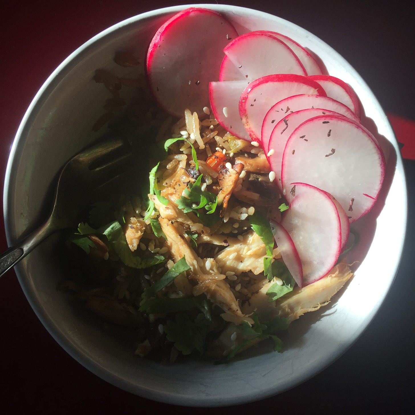 A small white bowl of fried rice in a beam of sunlight. Thinly sliced radishes are arranged around the edge of the bowl, and sesame seeds and pieces of cilantro dust the top.