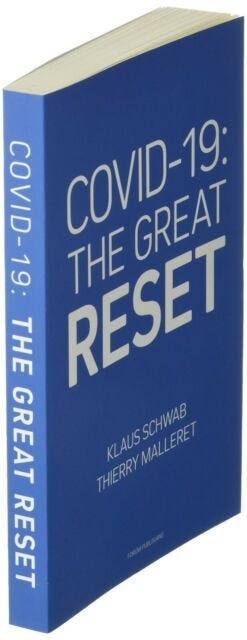 Cv19 The Great Reset by Klaus Schwab & Thierry Mallere. Trade Paperback for sale online | eBay