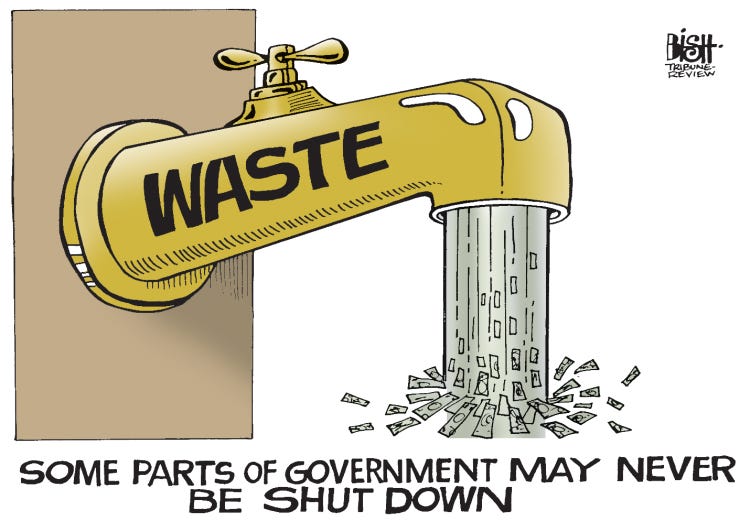 GOVERNMENT WASTE