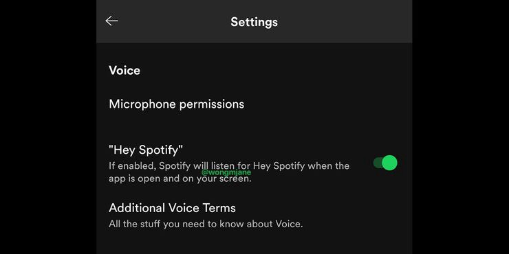 Hey spotify