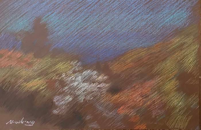 Newberry, Idyllwild Bend, 2020, pastel, plein air, landscape.