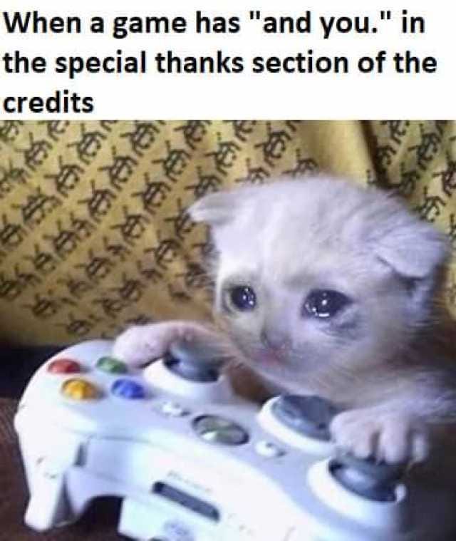 When a game has and you. in the special thanks section of the credits 