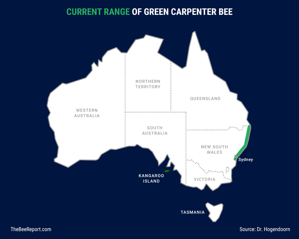 Map showing green carpenter bee's range in Australia.