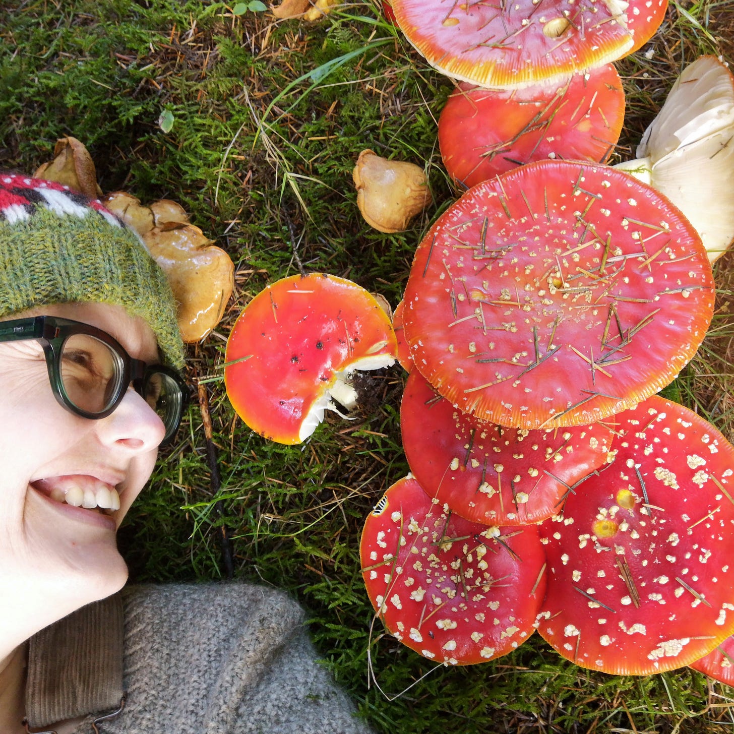 Image description: A daft selfie of Katie, and white human wearing glasses and a woolly hat, lying down next to some ginormous red and white fly agaric mushrooms. Katie is grinning with delight.