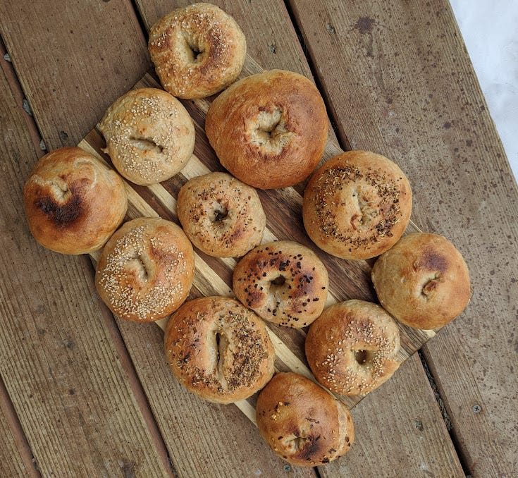 a tray of sourdough bagels on the front porch