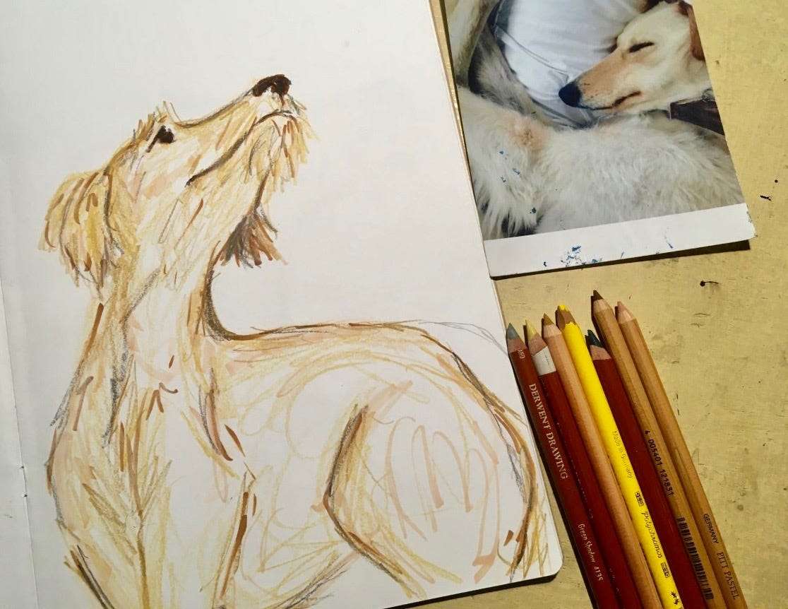 A crayon pencil illustration of a scruffy, skinny dog, photographed from above alongside Derwent colouring pencils on a stained cream painted desk, alongside the photograph of a real dog who inspired this picture , a sleeping lurched with Sandy fur. Illustrated by Harry Stigner