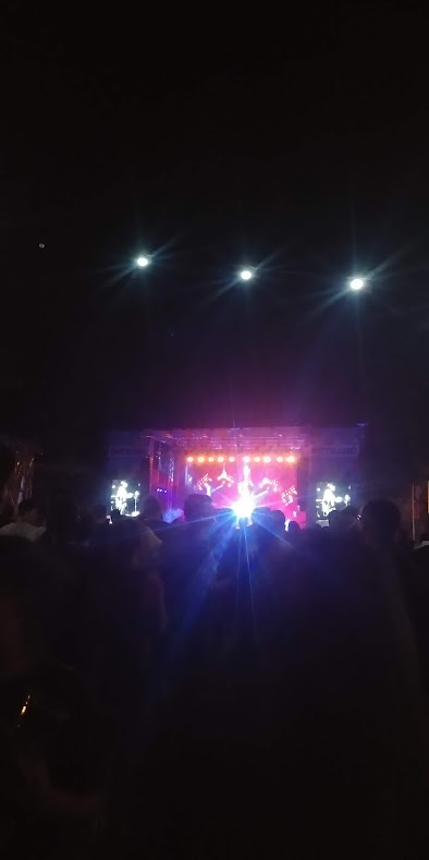 A blurry stage lit with purple lighting, surrounded by black space. Blurry shadows of people including other people's phone screens are visible in the foreground.