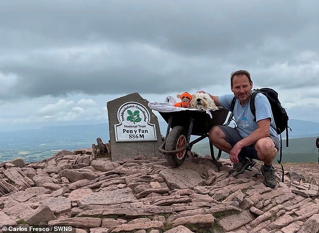 Touching pictures show Carlos Fresco, 57, from London, taking his dying pet dog up his favourite mountain using a wheelbarrow for one last walk