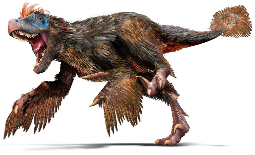 Dinosaur-with-Feathers