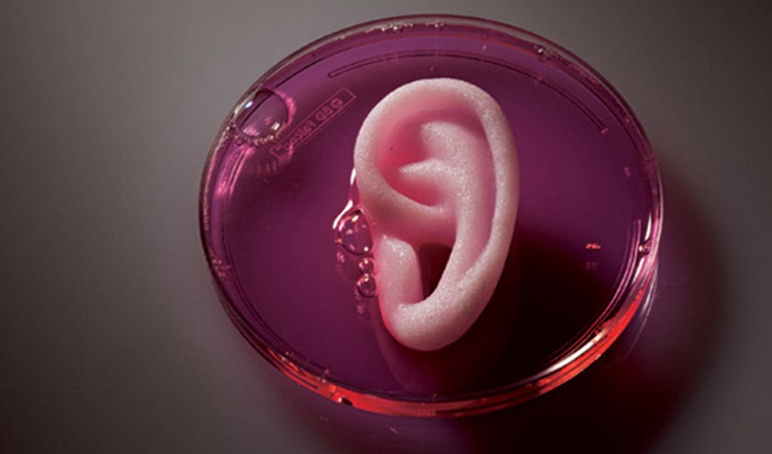 Is 3D bioprinting the future of tailor-made medicine? - 3Dnatives