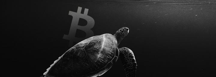 Bitcoin’s network growth is declining; here’s what it means for the bulls