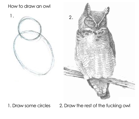 How to draw an owl : r/funny