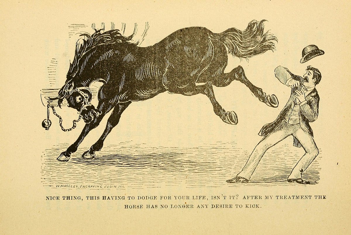 Category:Kicking horses - Wikimedia Commons