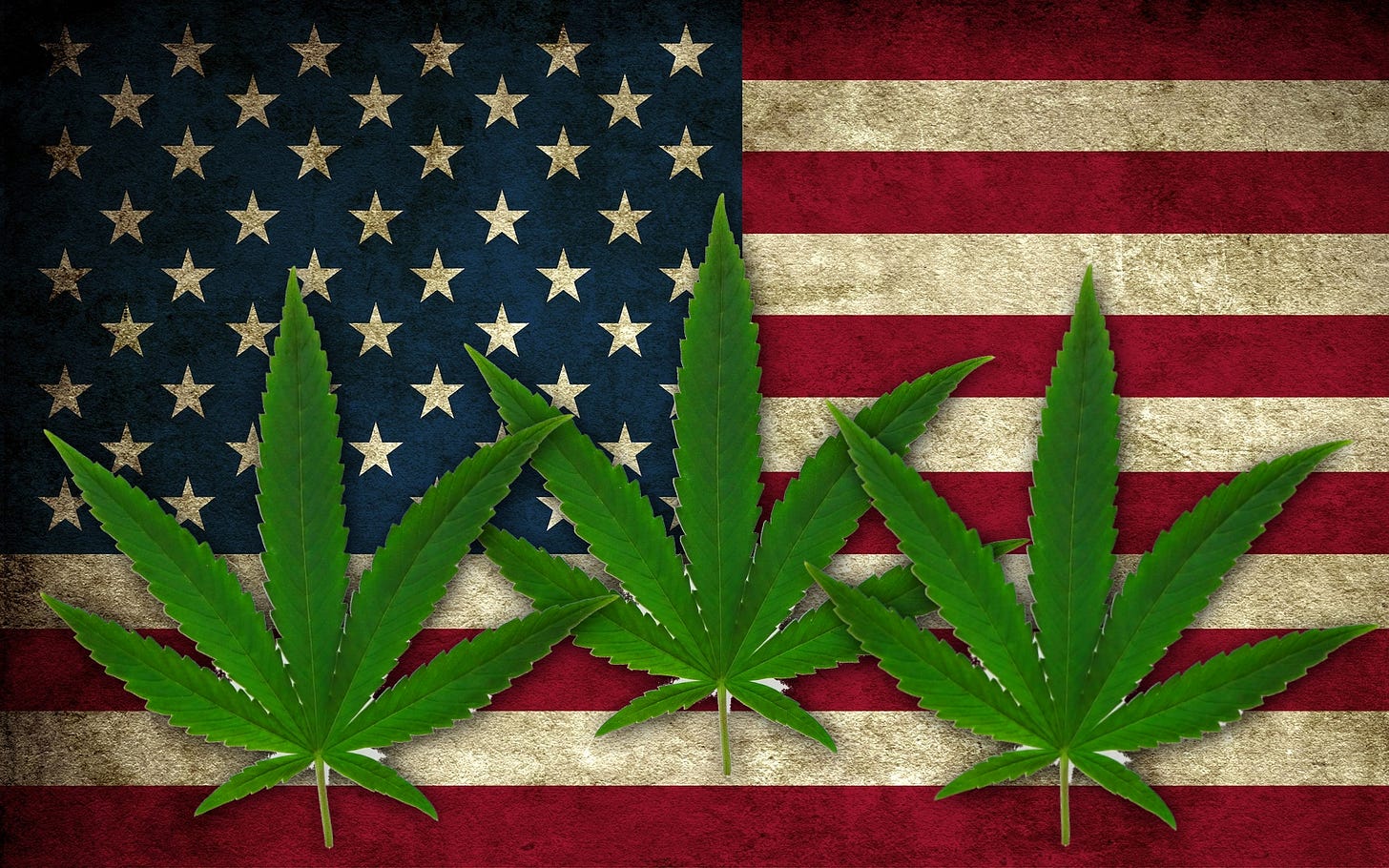 L&#39;America spaccata a metà. Su tutto, tranne che sulla cannabis