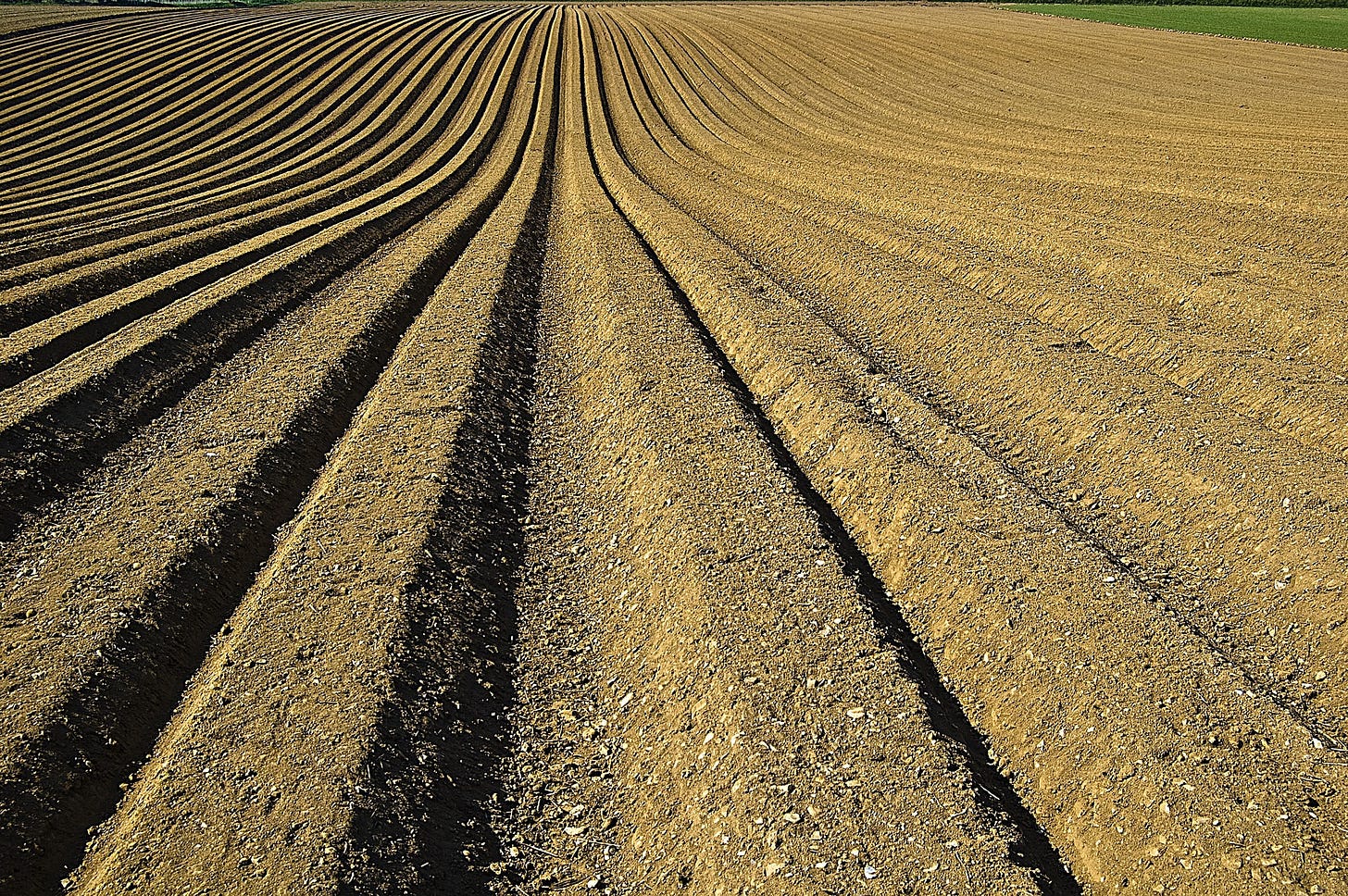 A field with furrows going off into the distance. Potential. 